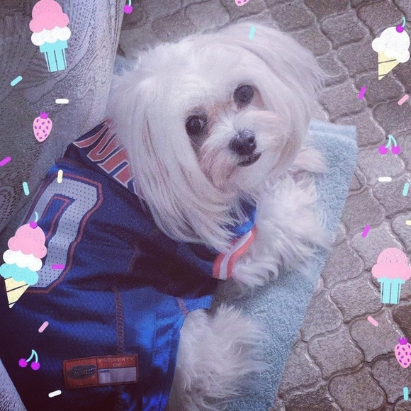 Meet your Posher, Michelle - Picture 3 of 16